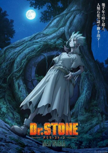 Dr.STONE NEW WORLD（第2クール）